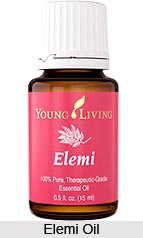 Elemi Oil