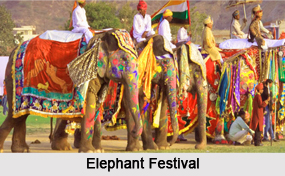 Elephant Festival, Religious Festivals, Rajasthan