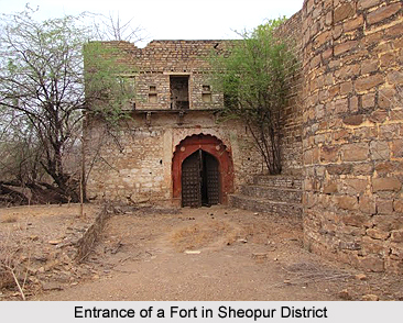Sheopur District, Madhya Pradesh