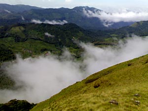 Eravikulam National Park