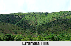 Erramala Hills, Kurnool, Andhra Pradesh