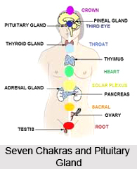 Exercise For The Will/Spirit Body