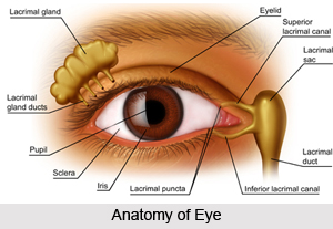 Eye Diagnosis in Ayurveda