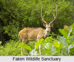 Fakim Wildlife Sanctuary, Wildlife Sanctuary of Nagaland