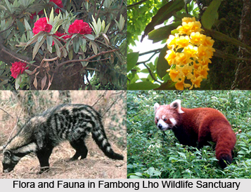 Fambong Lho Wildlife Sanctuary, Sikkim