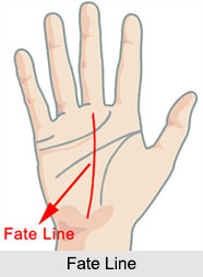 Fate Line, Palmistry