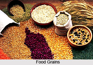 Features of Agriculture in Mughal India