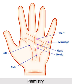 Features of Palmistry