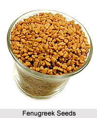 Fenugreek Seeds