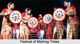 Culture of Mishing Tribe