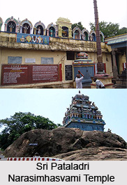 Festivals of Sri Pataladri Narasimhasvami Temple, Singaperumalkoil, Tamil Nadu