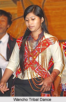 Festivals of Tirap District