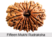 Fifteen Mukhi Rudraksha, Astrology