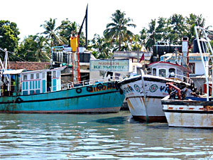 Fishing Industry in India