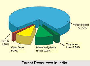 Forest Resources in India