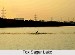 Fox Sagar Lake, Hyderabad