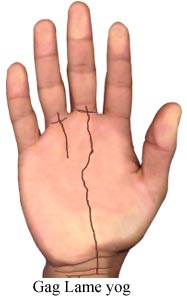 Gag Lame Yogi, Palmistry