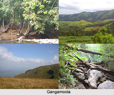 Gangamoola , Karnataka