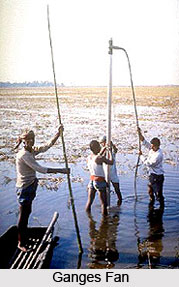 Ganges Fan , Indian River