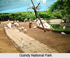 Gardens and Parks of Tamil Nadu