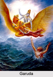 Garuda, Animal Deities, Indian Mythology