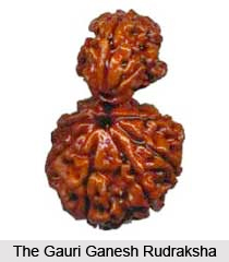 Gauri Ganesh Rudraksha