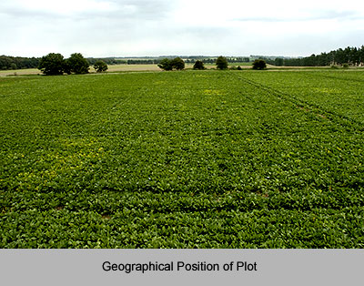 Geographical Position of Plot, Vastu Shastra