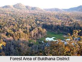 Geography of Buldhana District, Maharashtra