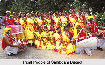 Geography of Sahibganj District