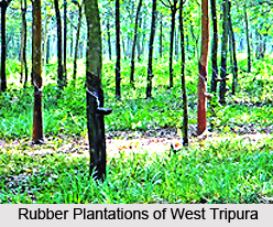 Geography of West Tripura District