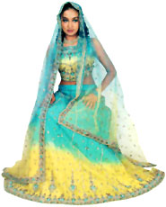 Costumes of Chandigarh Ghagra-choli 