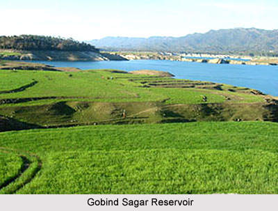 Gobind Sagar, Reservoir, Himachal Pradesh