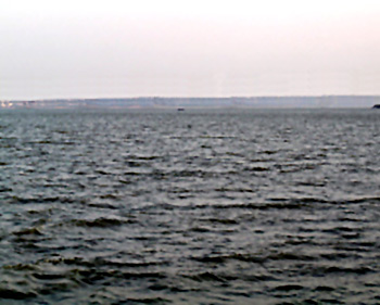 Godavari River