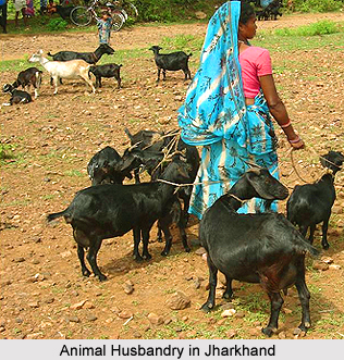 Godda District, Jharkhand
