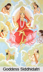 Goddess Siddhidatri