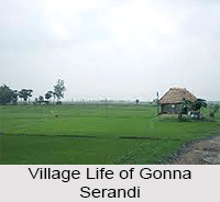 Gonna Serandi, Bardhman District, West Bengal