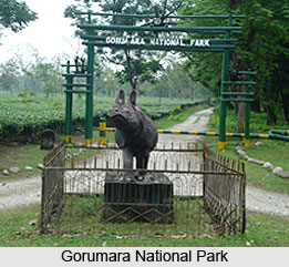 Gorumara National Park, West Bengal