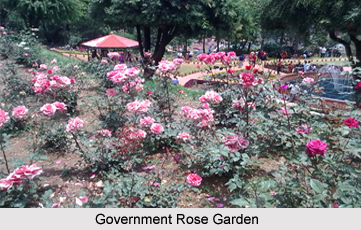 Government Rose Garden Tamil Nadu,