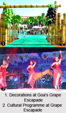 Grape Escapade, Festival of Goa