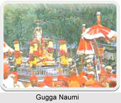 Gugga Naumi, Indian Festival