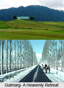 Gulmarg Biosphere Reserve