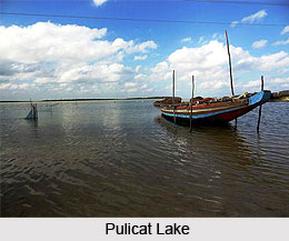 Gummidipoondi, Tiruvallur, Tamil Nadu
