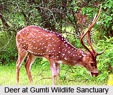 Gumti Wildlife Sanctuary, South Tripura District, Tripura