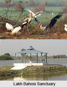 Gursahaiganj, Kannauj, Uttar Pradesh