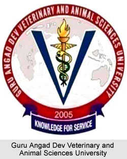 Guru Angad Dev Veterinary and Animal Sciences University, Punjab