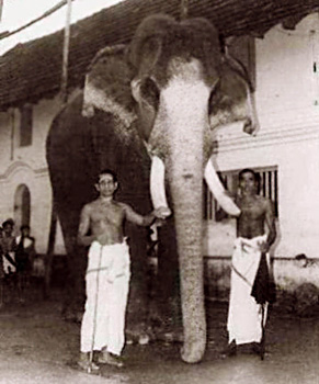 Guruvayoor Keshavan
