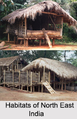 Habitats of North East India, Indian Tribal Society