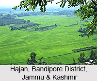 Hajan, Bandipore District, Jammu & Kashmir