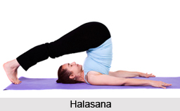 Halasana