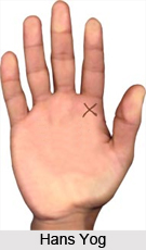 Hans Yog , Palmistry